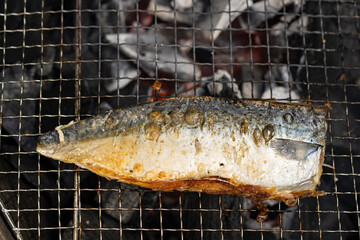 サバの塩焼き　焼き魚