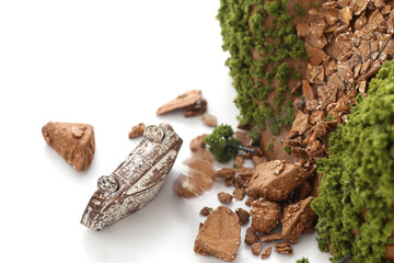 土砂災害で埋まった自動車