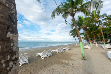 Lonely beach, with the blue sea and many coconut trees. tropical beach. radiant sun and heat

