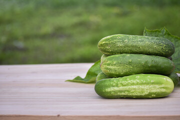 Fresh organic cucumbers on a brown wooden table. Salad ingredient, Fresh vegetables, Vegan food