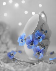 ビオラの花とコーヒーカップのデコレーション　パトカラー