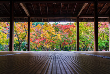 idyllic garden in Zuiganzan Enkouji Temple, Kyoto, Japan in autumn season