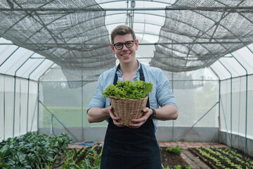 A Caucasian male farmer looks and gives basket of fresh vegetables to camera with a happy smile in plantation greenhouse. Gardener man collects natural organic produce from agriculture nursery crops.