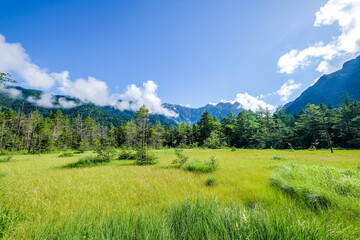 長野県松本市上高地の田代湿原と穂高連峰