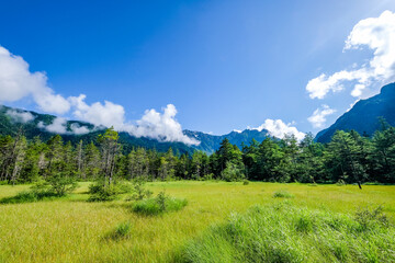 長野県松本市上高地の田代湿原と穂高連峰