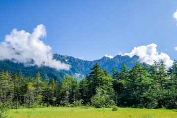 長野県松本市上高地の田代湿原と穂高連峰
