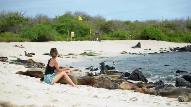 Female Tourist Sat Beside Group Of Sea Lions Chilling On Playa Punta Beach At San Cristobal Island In The Galapagos. Slow Motion