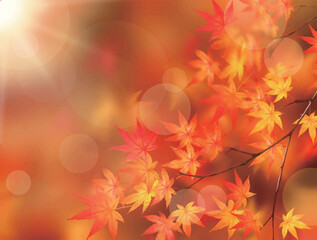 キラキラ輝く美しい紅葉の葉のオシャレなベクターの光の差し込むピンボケの背景素材フレーム