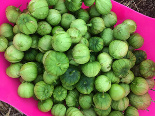 Green Tomatillos
