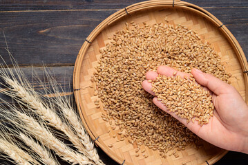 Whole wheat grain with hand in basket, food ingredients, Table top view