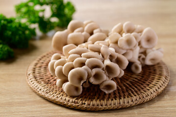 Fresh Oyster mushroom, Edible mushroom, Organic food ingredient
