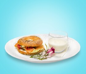 Tasty fresh fast food on a plate