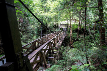 Obraz premium 岐阜県中津川市の竜神の滝