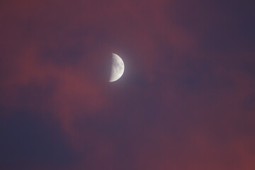 Obraz na płótnie Canvas moon at dusk
