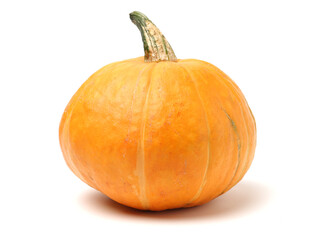 Orange pumpkin on white background 