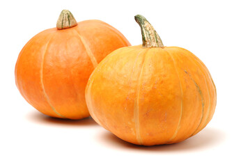 Orange pumpkin on white background 
