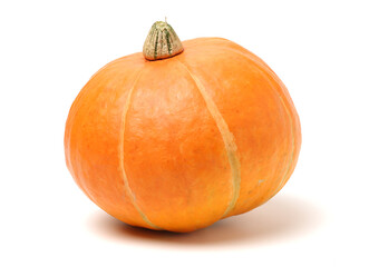 Orange pumpkin on white background 