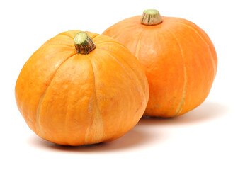 Orange pumpkin on white background 