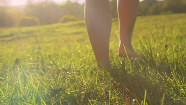 CLOSE UP, LOW ANGLE: Rear view of lady pacing the grass barefoot in golden light. Barefoot young woman stepping on green meadow. Carefree and relaxing moment in nature on a beautiful sunny morning.
