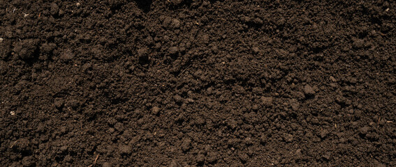 soil texture.  土のテクスチャ