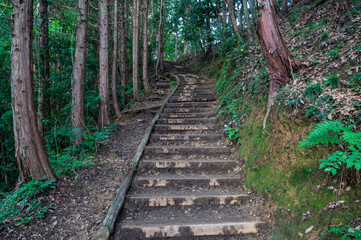 東京都八王子市の高尾山登山