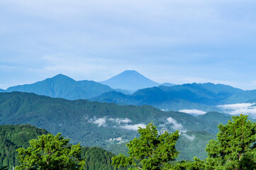 Fototapeta premium 東京都八王子市の高尾山登山