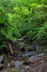 東京都八王子市の高尾山登山