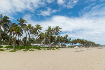 Obraz premium Lonely beach, with the blue sea and many coconut trees. tropical beach. radiant sun and heat
