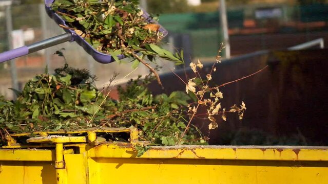 Green compost on the shovel pours into a metal tank. Twigs, leaves and dust in a dumpster. Bio vegetable compost .Bio garbage.green compost with many different plant. 4k footage