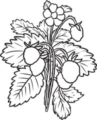 Obraz premium Strawberry botanical lineart vector icon. Berries comic style image. Hand drawn isolated lineart image for prints, designs, cards. For books, stickers, posters