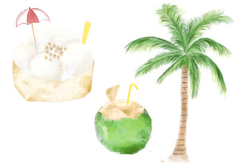 Summer coconut set watercolor painting