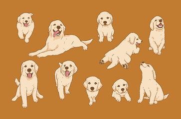 Cartoon Playful golden retriever puppy illustration solated vector set