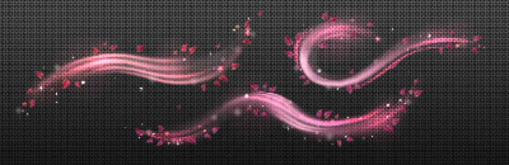 Wind swirls with flower pink petals isolated on transparent background. Vector realistic illustration of spiral air vortex with flying blossom petals, magic dust splash