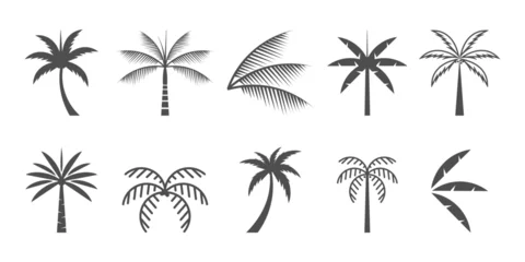 Poster Set of palm logo icon vector with creative element © koya