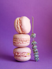 tower of pink macaroons close-up on bright purple background with lavender