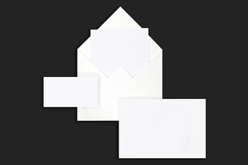 Mockup for logo, card, envelope, flowers. Aesthetic photo, for cosmetics, women, beauty salons, drawing, business.  Black and white minimalist style	