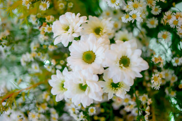 Wedding flowers, closeup bridal bouquet. Decorations made of fresh flowers, houseplants, close-ups, focus, objects and other interiors.