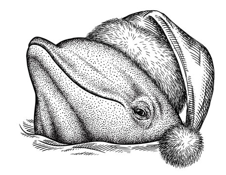 recommend clip art: Vintage engrave isolated christmas saw fish set illustration santa costume killer whale ink sketch. Wild new year hat hammer shark background line dolphin art