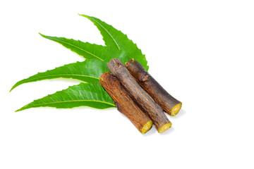 Medicinal neem leaves isolated on white background