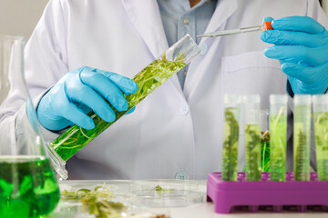 research scientist team working  research and Biotech science Photobioreactor in laboratory of...