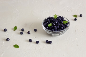 Fresh forest blueberries (close up) with leaves in the clear glass bowl on the white background
