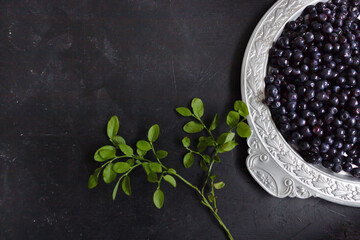 Fresh wild blueberries on a tin plate and  blueberries leaves on a black background. Flatlay, top view.