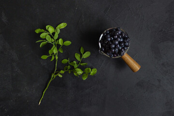 Fresh forest blueberries in a ladle with wooden handle, blueberries leaves on a black background. Flatlay, top view. Close up.