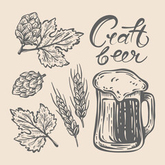 HOPS AND BEER Tasty Drink In Mug With Foam And Ears Of Wheat And Hop Cones Handwritten Text Craft Beer Hand Drawn Monochrome Sketch Cartoon Vector Illustration