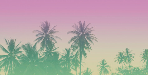 Fototapeta na wymiar Summer of a colorful theme with palm trees background as texture frame image background