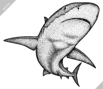 Vintage Shark Images – Browse 9,786 Stock Photos, Vectors, and Video