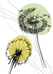 Dandelion Abstract Hand Painted Illustrations for Wall Decoration, Postcard, Social Media Banner, Brochure Cover Design Background. Modern Abstract Painting Artwork. Vector Pattern