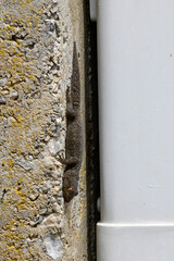 Kotschy's Gecko // Ägäischer Nacktfinger (Mediodactylus kotschyi) - Peloponnese, Greece