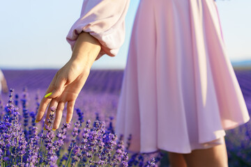 Girl's hand touching the folowers in lavender field
