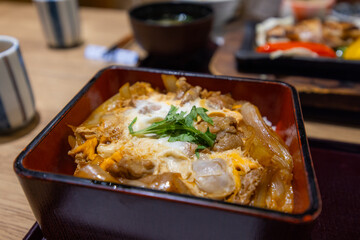 Onion beef rice bowl gyudon